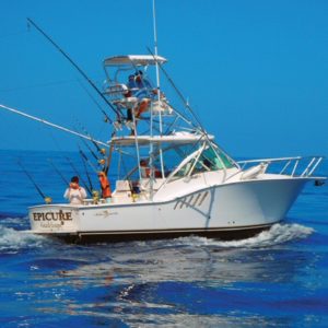 Albermale 290