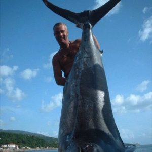 Pêche au gros