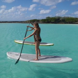 Paddle