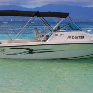 Angler 204 WA