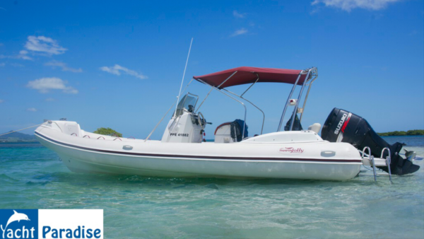 Nueva Jolly Prince 23′ - Marjo – Image 4
