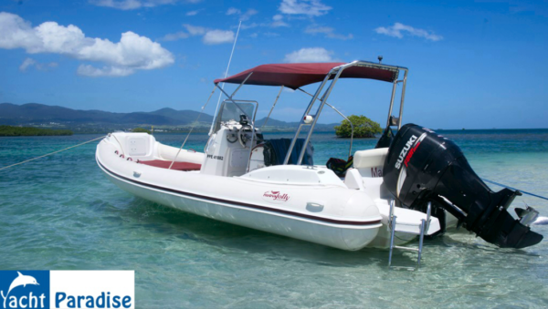 Nueva Jolly Prince 23′ - Marjo – Image 3