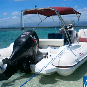 Nueva Jolly Prince 23′ - Marjo