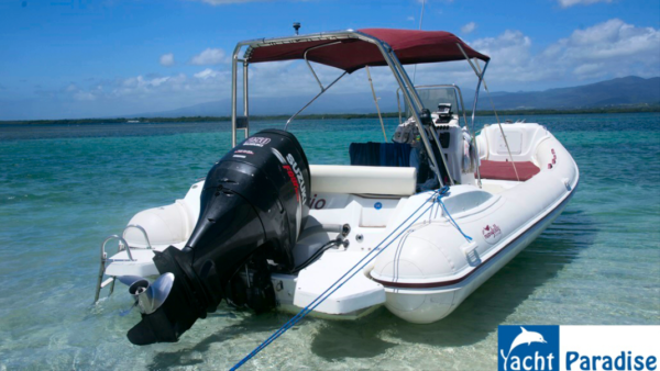 Nueva Jolly Prince 23′ - Marjo