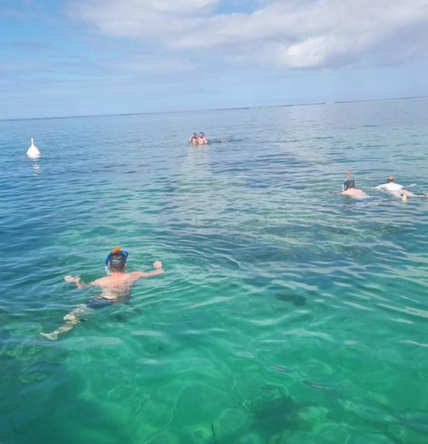 Explorez le grand-cul-de-sac marin lors d'une excursion nautique inoubliable en Guadeloupe – Image 3