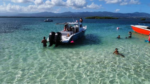 Explorez le grand-cul-de-sac marin lors d'une excursion nautique inoubliable en Guadeloupe – Image 5