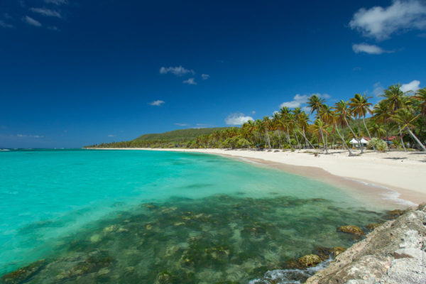 Découverte de Marie-Galante : un petit paradis au cœur des Antilles – Image 2