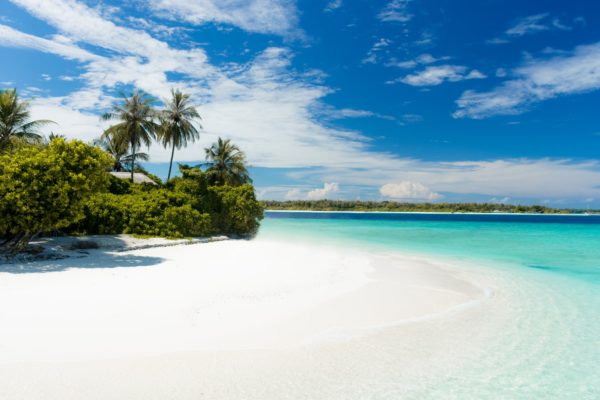 Découverte de Marie-Galante : un petit paradis au cœur des Antilles – Image 4