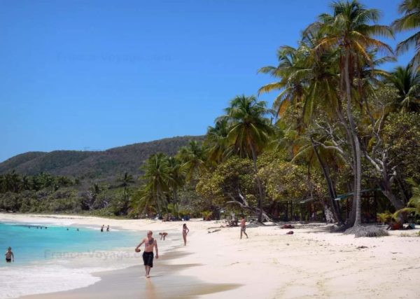 Découverte de Marie-Galante : un petit paradis au cœur des Antilles – Image 7