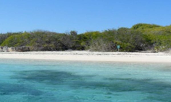 Découverte de Petite-Terre : un paradis tropical aux trésors naturels – Image 9