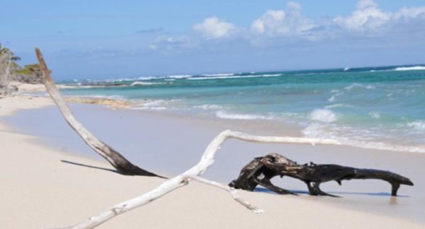 Découverte de Petite-Terre : un paradis tropical aux trésors naturels – Image 8