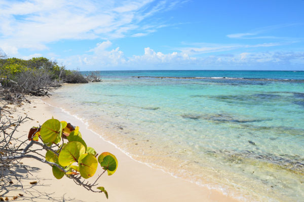 Découverte de Petite-Terre : un paradis tropical aux trésors naturels – Image 5