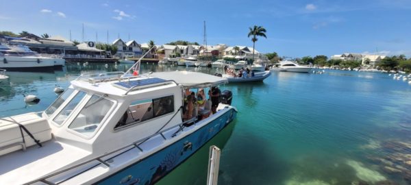 Escapade en mer des Caraïbes : des trésors naturels à pointe sable – Image 8