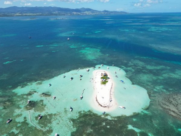 Escapade en mer des Caraïbes : des trésors naturels à pointe sable – Image 2