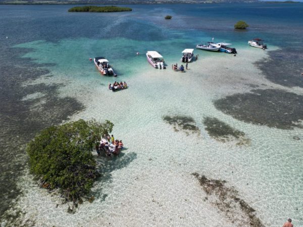 Escapade en mer des Caraïbes : des trésors naturels à pointe sable – Image 5