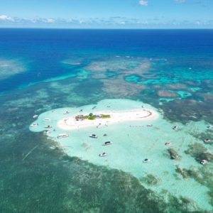 Escapade en mer des Caraïbes : des trésors naturels à pointe sable
