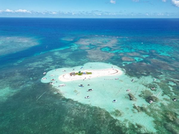 Escapade en mer des Caraïbes : des trésors naturels à pointe sable