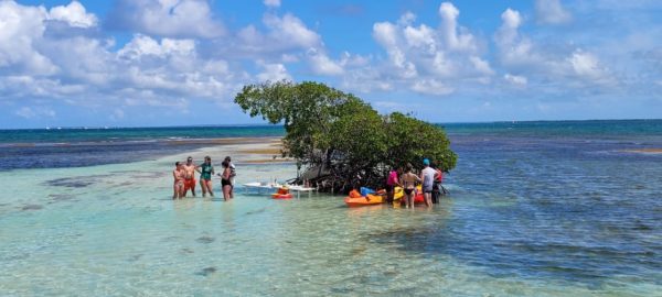 Escapade en mer des Caraïbes : des trésors naturels à pointe sable – Image 4