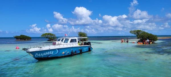 Escapade en mer des Caraïbes : des trésors naturels à pointe sable – Image 9